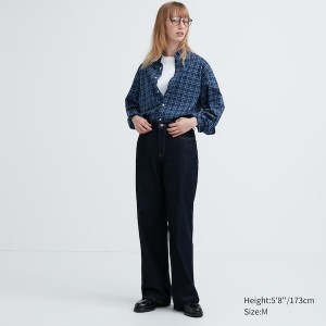 Uniqlo Extra Fine Cotton Broadcloth Checked Long-Sleeve Ženske Košulje Plave | 0159-YLHKQ