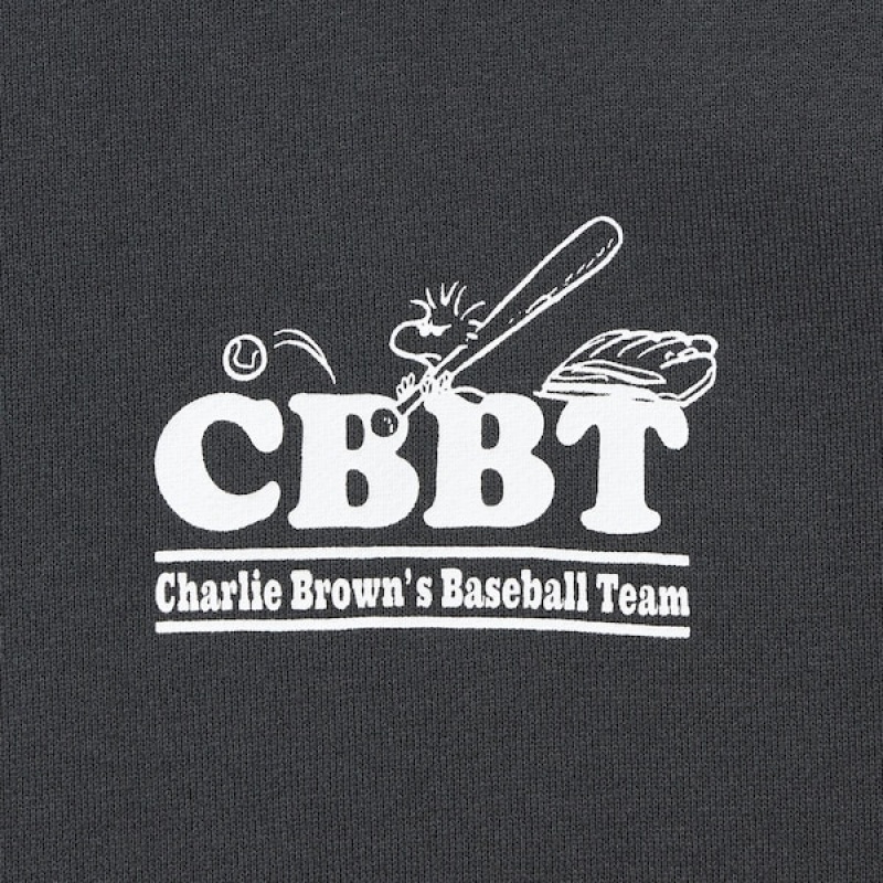 Uniqlo PEANUTS Charlie Brown's Baseball Team Long-Sleeve Muške Dukserice Tamno Sive | 9561-WRDUZ